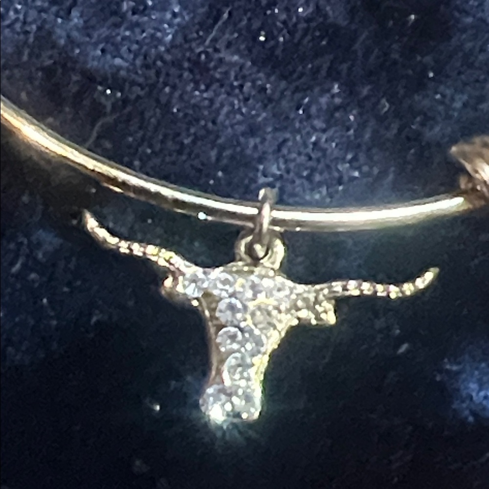 Texas Longhorn Charm Bangle Bracelet Ivy